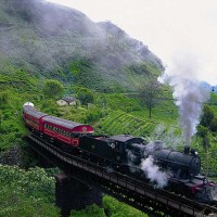 Colombo - Mount Lavinia - Kitulgala - Nuwara Eliya