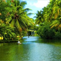 Enchanting Kerala